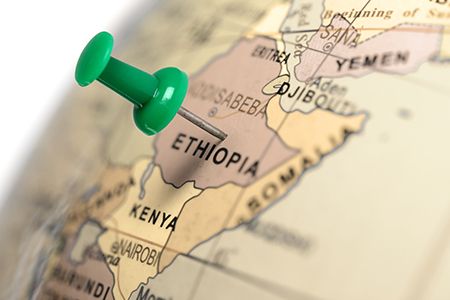 Ethiopian Investment Holdings to construct urea fertilizer plant