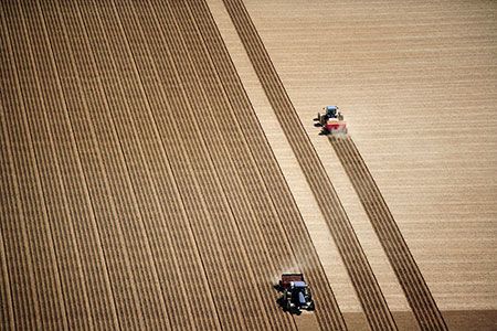 Anglo American secures additional organic certifications for POLY4 fertilizer