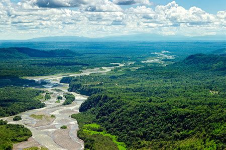 Brazil Potash awards vegetation management contract for Autazes Project