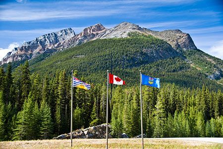 New US tariffs on Canada exclude fertilizers