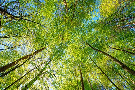 Prayon publishes 2025 sustainability report