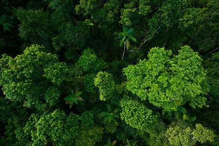 International Fertilizer Association and Proba launch global programme for greenhouse gas emissions reduction