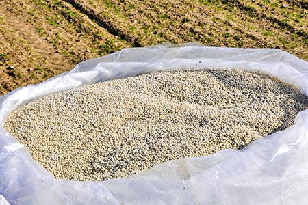 QatarEnergy enters 10-year sulfur supply agreement with OCP Nutricrops