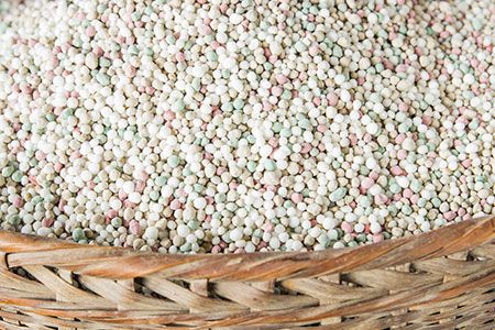 Ammonium sulfate predicted to steer Brazil’s urea imports in 2026