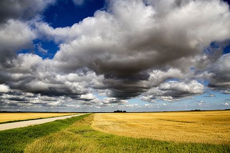 How Stamicarbon’s NX STAMI Urea™ technology is transforming Genesis Fertilizers’ vision