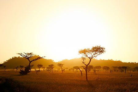 Fluor wins FEED contract for East Africa potash mining project