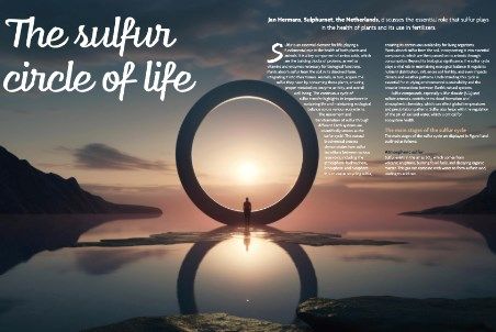The sulfur circle of life