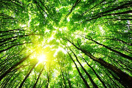 Yara introduces sustainable packaging