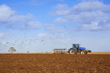Pivot Bio expands distribution of chemical fertilizer technology