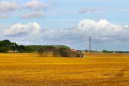 Microbial fertilizer enters field trials
