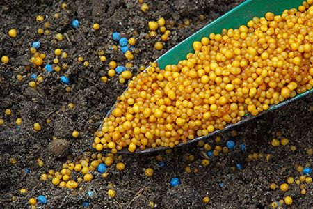 Nutrien provides update on Trinidad Nitrogen operations