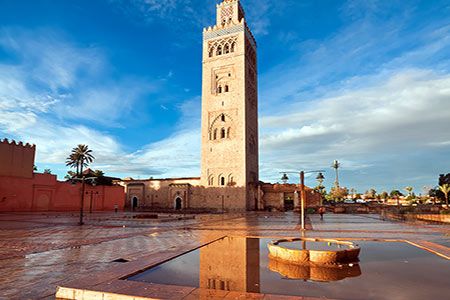 KBR to support Moroccan ammonia project
