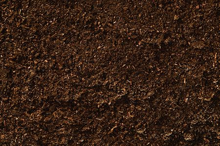 New handbook offers soil health guidance for farmers