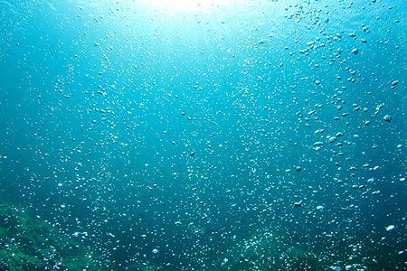Barge company fined for spilling fertilizer
