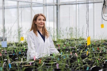 GHG emission study confirms Lucent Bio's sustainable fertilizers turn farming climate-positive